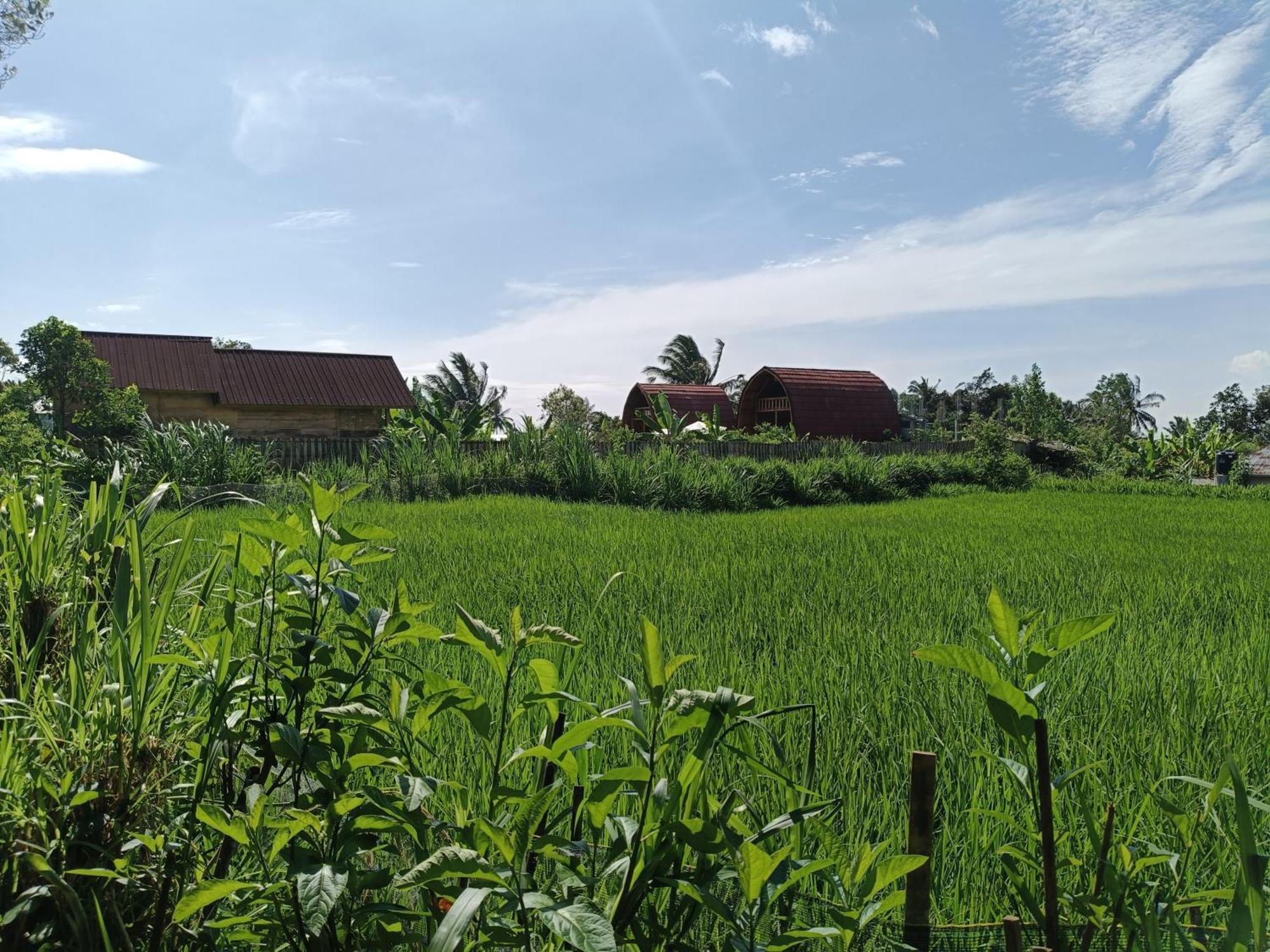Raturinjani Homestay Selong Rom bilde